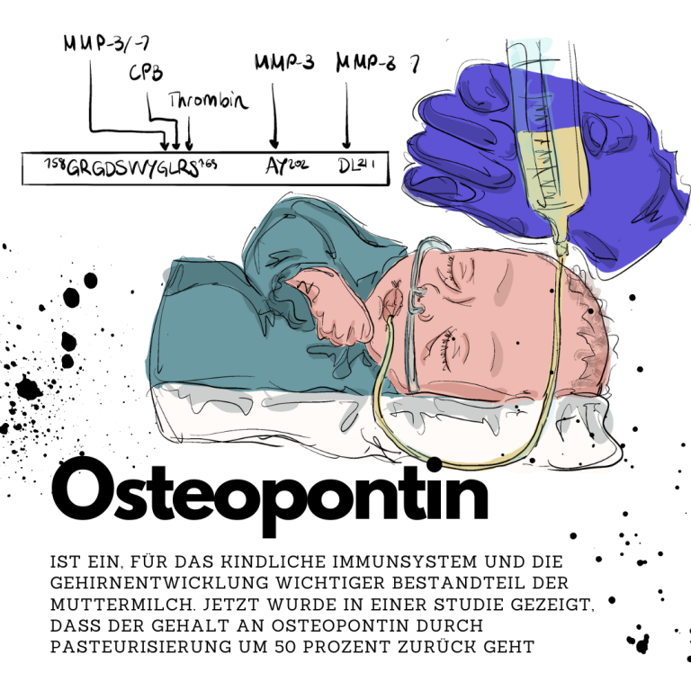 Osteopontin