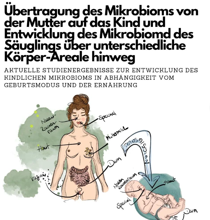 Übertragung des Mikrobioms von Mutter auf das Kind